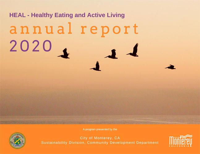 HEAL-Annual-Report-2020-Web-Cover